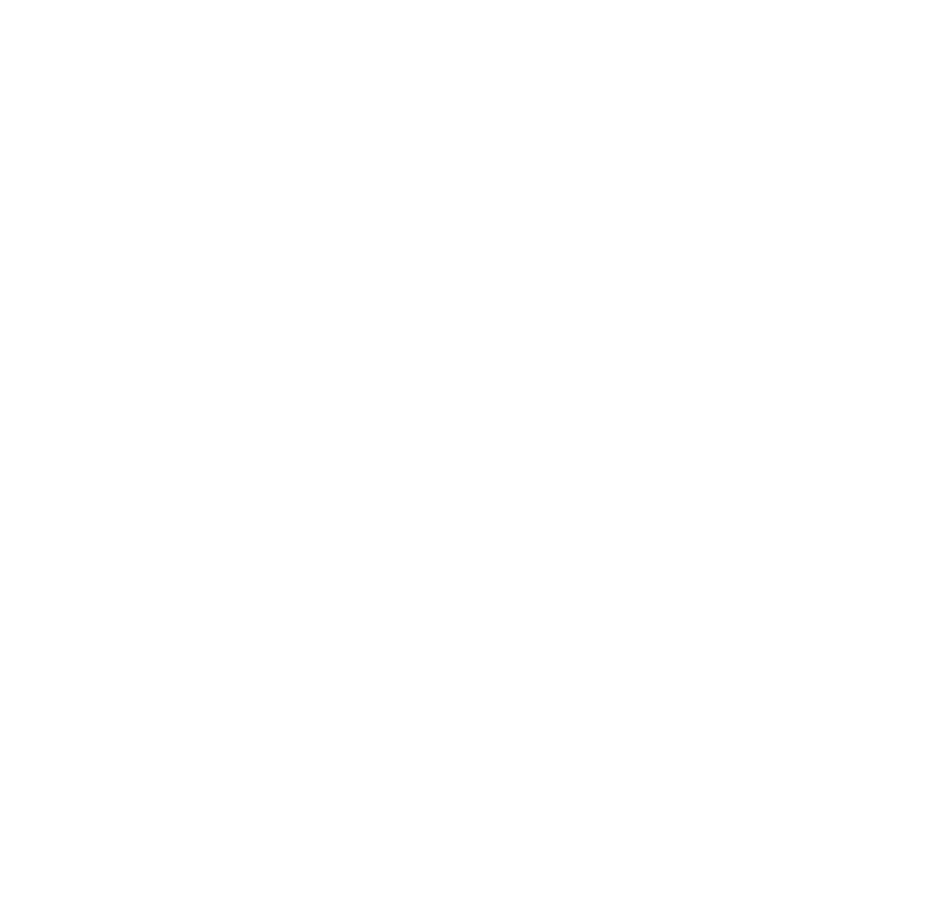 Roda AG Productos Químicos de México Torreón Coahuila
